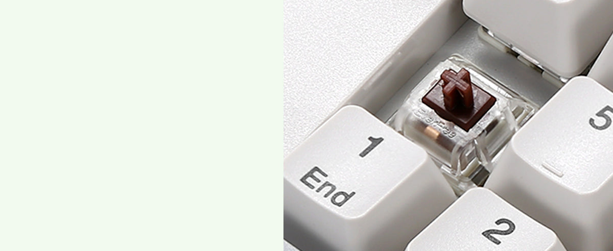 Tactile Brown Switches