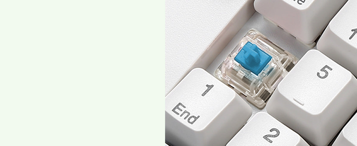Clicky Blue Switches