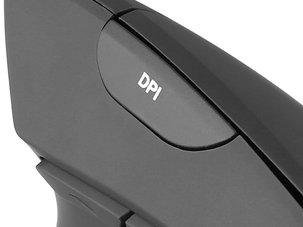 DPI Switch