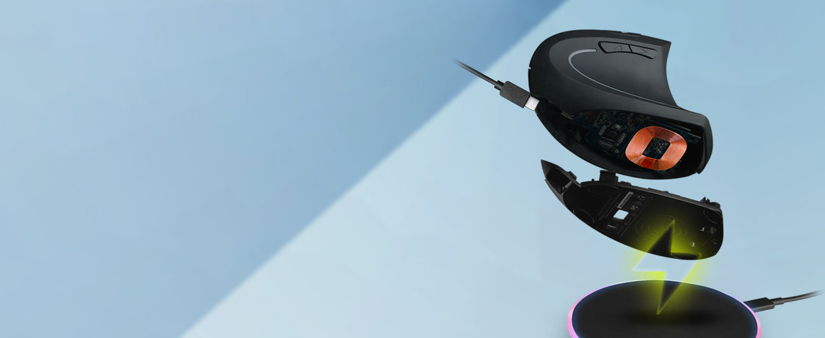 DUAL RECHARGEABLE