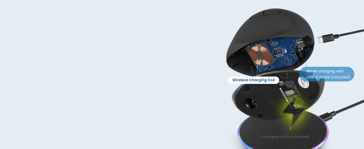 Dual rechargeable options